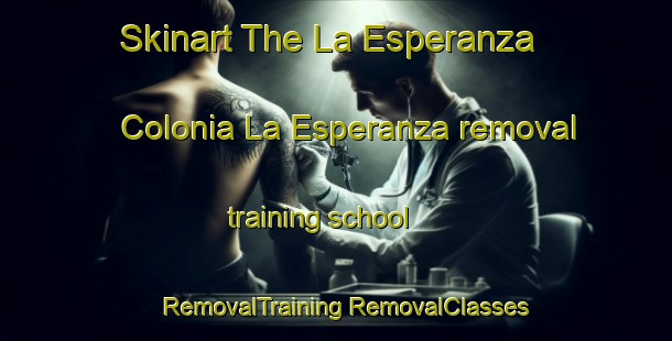 Skinart The La Esperanza  Colonia La Esperanza removal training school | #RemovalTraining #RemovalClasses #SkinartTraining-Mexico