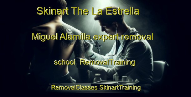 Skinart The La Estrella  Miguel Alamilla expert removal school | #RemovalTraining #RemovalClasses #SkinartTraining-Mexico