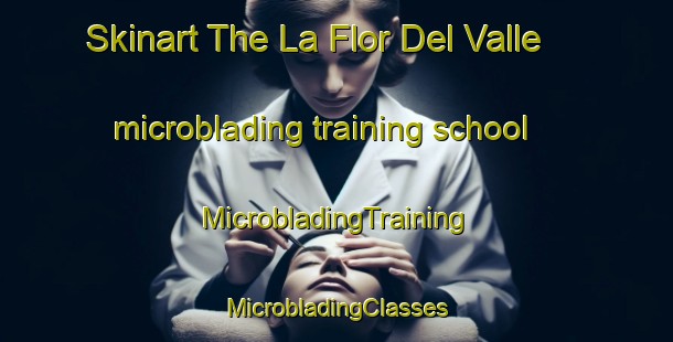 Skinart The La Flor Del Valle microblading training school | #MicrobladingTraining #MicrobladingClasses #SkinartTraining-Mexico