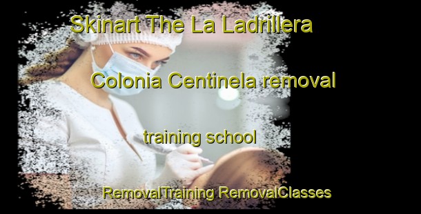 Skinart The La Ladrillera  Colonia Centinela removal training school | #RemovalTraining #RemovalClasses #SkinartTraining-Mexico