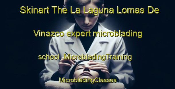 Skinart The La Laguna Lomas De Vinazco expert microblading school | #MicrobladingTraining #MicrobladingClasses #SkinartTraining-Mexico