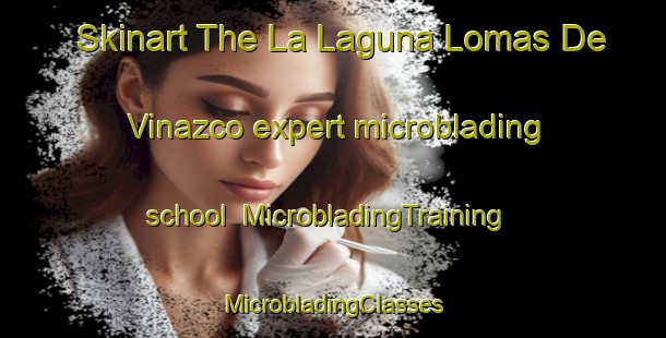 Skinart The La Laguna Lomas De Vinazco expert microblading school | #MicrobladingTraining #MicrobladingClasses #SkinartTraining-Mexico