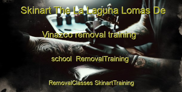 Skinart The La Laguna Lomas De Vinazco removal training school | #RemovalTraining #RemovalClasses #SkinartTraining-Mexico