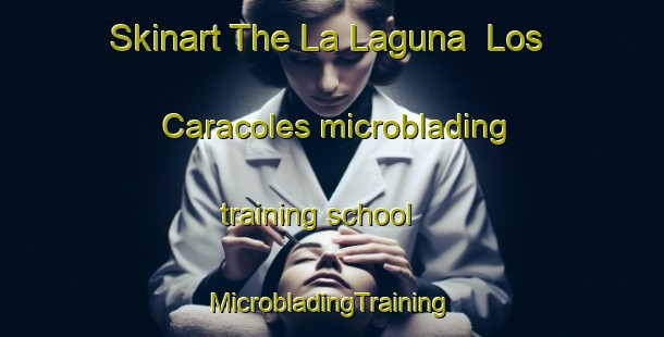 Skinart The La Laguna  Los Caracoles microblading training school | #MicrobladingTraining #MicrobladingClasses #SkinartTraining-Mexico