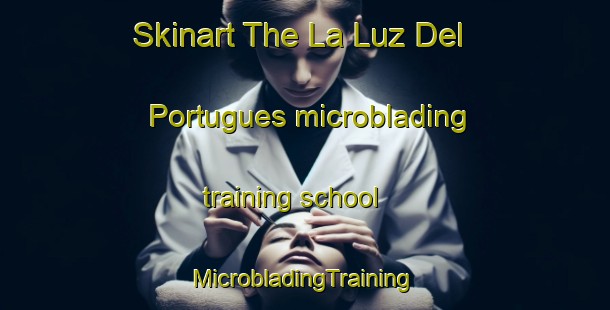 Skinart The La Luz Del Portugues microblading training school | #MicrobladingTraining #MicrobladingClasses #SkinartTraining-Mexico