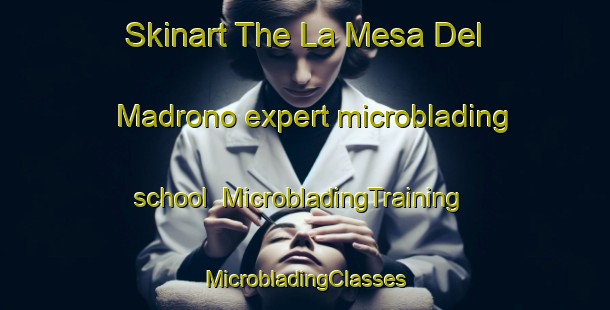 Skinart The La Mesa Del Madrono expert microblading school | #MicrobladingTraining #MicrobladingClasses #SkinartTraining-Mexico