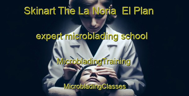 Skinart The La Noria  El Plan expert microblading school | #MicrobladingTraining #MicrobladingClasses #SkinartTraining-Mexico