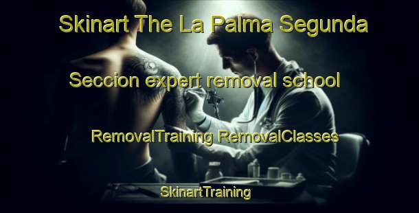 Skinart The La Palma Segunda Seccion expert removal school | #RemovalTraining #RemovalClasses #SkinartTraining-Mexico