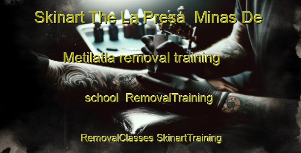 Skinart The La Presa  Minas De Metilatla removal training school | #RemovalTraining #RemovalClasses #SkinartTraining-Mexico