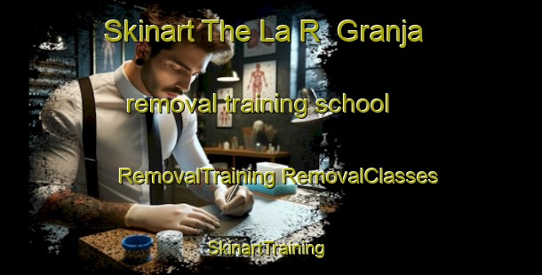 Skinart The La R  Granja removal training school | #RemovalTraining #RemovalClasses #SkinartTraining-Mexico