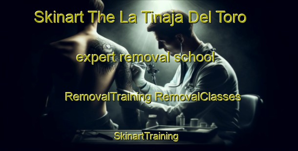 Skinart The La Tinaja Del Toro expert removal school | #RemovalTraining #RemovalClasses #SkinartTraining-Mexico