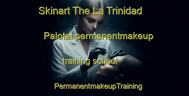 Skinart The La Trinidad Palotal permanentmakeup training school | #PermanentmakeupTraining #PermanentmakeupClasses #SkinartTraining-Mexico