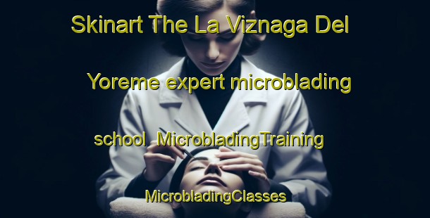 Skinart The La Viznaga Del Yoreme expert microblading school | #MicrobladingTraining #MicrobladingClasses #SkinartTraining-Mexico