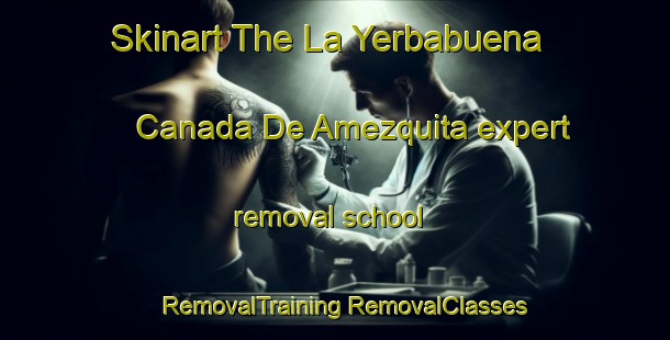 Skinart The La Yerbabuena  Canada De Amezquita expert removal school | #RemovalTraining #RemovalClasses #SkinartTraining-Mexico