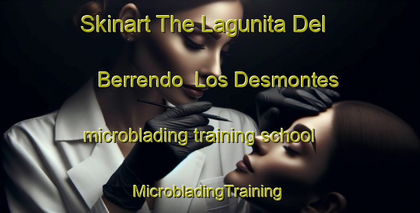 Skinart The Lagunita Del Berrendo  Los Desmontes microblading training school | #MicrobladingTraining #MicrobladingClasses #SkinartTraining-Mexico