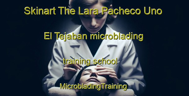 Skinart The Lara Pacheco Uno  El Tejaban microblading training school | #MicrobladingTraining #MicrobladingClasses #SkinartTraining-Mexico