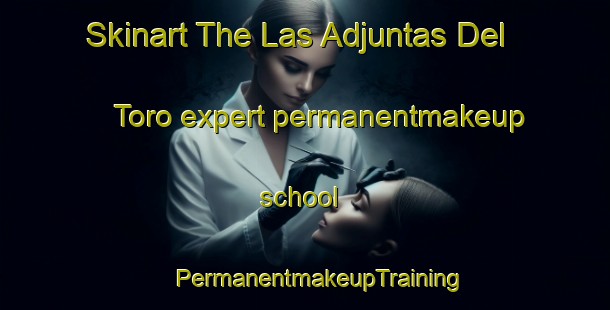 Skinart The Las Adjuntas Del Toro expert permanentmakeup school | #PermanentmakeupTraining #PermanentmakeupClasses #SkinartTraining-Mexico