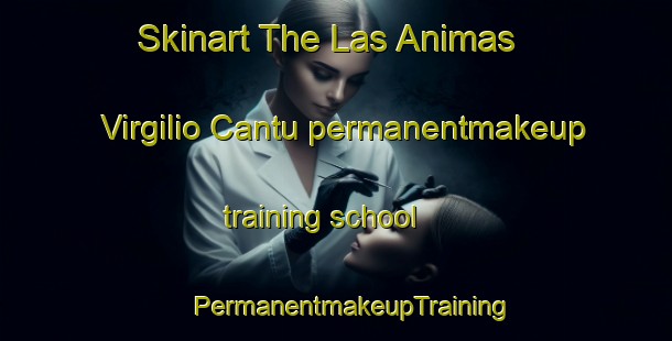 Skinart The Las Animas  Virgilio Cantu permanentmakeup training school | #PermanentmakeupTraining #PermanentmakeupClasses #SkinartTraining-Mexico