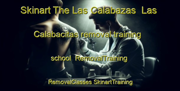 Skinart The Las Calabazas  Las Calabacitas removal training school | #RemovalTraining #RemovalClasses #SkinartTraining-Mexico