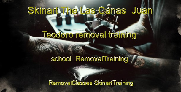 Skinart The Las Canas  Juan Teodoro removal training school | #RemovalTraining #RemovalClasses #SkinartTraining-Mexico