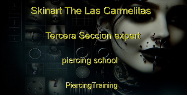 Skinart The Las Carmelitas Tercera Seccion expert piercing school | #PiercingTraining #PiercingClasses #SkinartTraining-Mexico