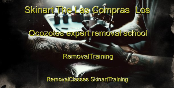 Skinart The Las Compras  Los Ocozotes expert removal school | #RemovalTraining #RemovalClasses #SkinartTraining-Mexico