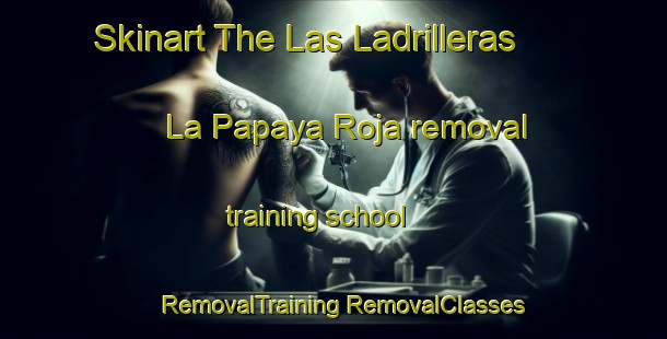 Skinart The Las Ladrilleras  La Papaya Roja removal training school | #RemovalTraining #RemovalClasses #SkinartTraining-Mexico