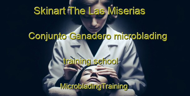 Skinart The Las Miserias  Conjunto Ganadero microblading training school | #MicrobladingTraining #MicrobladingClasses #SkinartTraining-Mexico