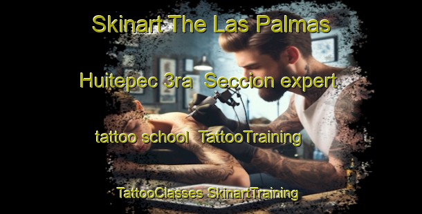 Skinart The Las Palmas Huitepec 3ra  Seccion expert tattoo school | #TattooTraining #TattooClasses #SkinartTraining-Mexico