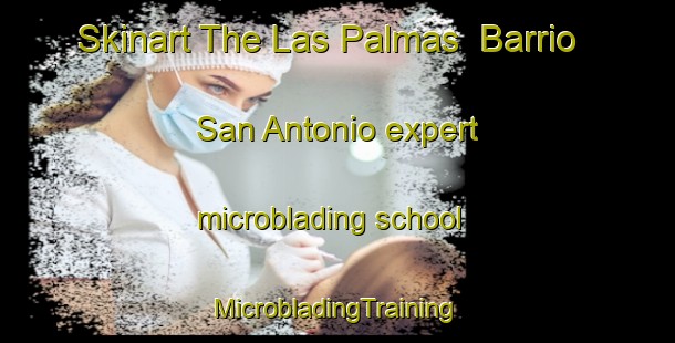 Skinart The Las Palmas  Barrio San Antonio expert microblading school | #MicrobladingTraining #MicrobladingClasses #SkinartTraining-Mexico