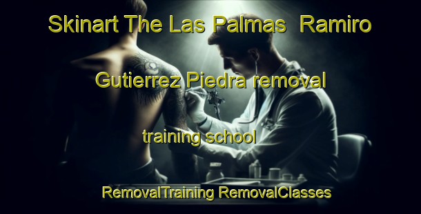 Skinart The Las Palmas  Ramiro Gutierrez Piedra removal training school | #RemovalTraining #RemovalClasses #SkinartTraining-Mexico