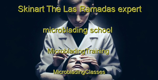 Skinart The Las Ramadas expert microblading school | #MicrobladingTraining #MicrobladingClasses #SkinartTraining-Mexico