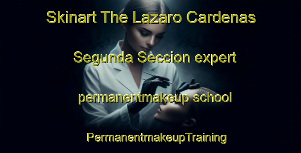 Skinart The Lazaro Cardenas Segunda Seccion expert permanentmakeup school | #PermanentmakeupTraining #PermanentmakeupClasses #SkinartTraining-Mexico