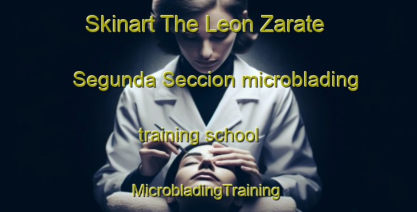 Skinart The Leon Zarate Segunda Seccion microblading training school | #MicrobladingTraining #MicrobladingClasses #SkinartTraining-Mexico