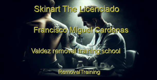 Skinart The Licenciado Francisco Miguel Cardenas Valdez removal training school | #RemovalTraining #RemovalClasses #SkinartTraining-Mexico