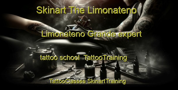 Skinart The Limonateno  Limonateno Grande expert tattoo school | #TattooTraining #TattooClasses #SkinartTraining-Mexico