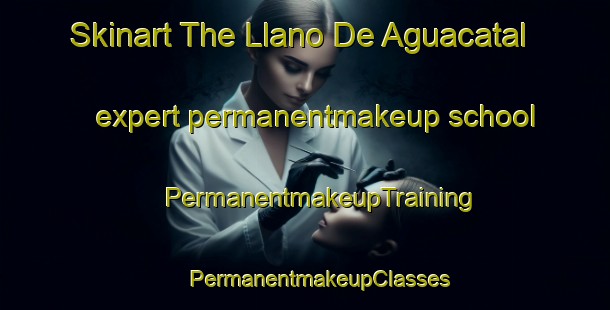 Skinart The Llano De Aguacatal expert permanentmakeup school | #PermanentmakeupTraining #PermanentmakeupClasses #SkinartTraining-Mexico