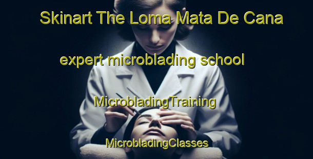 Skinart The Loma Mata De Cana expert microblading school | #MicrobladingTraining #MicrobladingClasses #SkinartTraining-Mexico