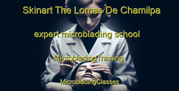 Skinart The Lomas De Chamilpa expert microblading school | #MicrobladingTraining #MicrobladingClasses #SkinartTraining-Mexico