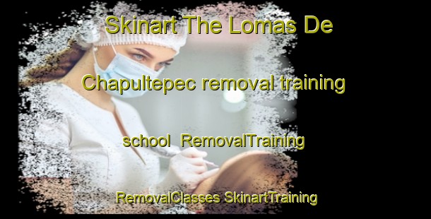 Skinart The Lomas De Chapultepec removal training school | #RemovalTraining #RemovalClasses #SkinartTraining-Mexico