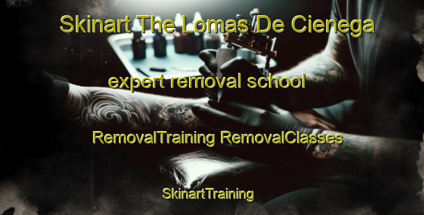 Skinart The Lomas De Cienega expert removal school | #RemovalTraining #RemovalClasses #SkinartTraining-Mexico