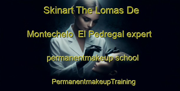 Skinart The Lomas De Montechelo  El Pedregal expert permanentmakeup school | #PermanentmakeupTraining #PermanentmakeupClasses #SkinartTraining-Mexico