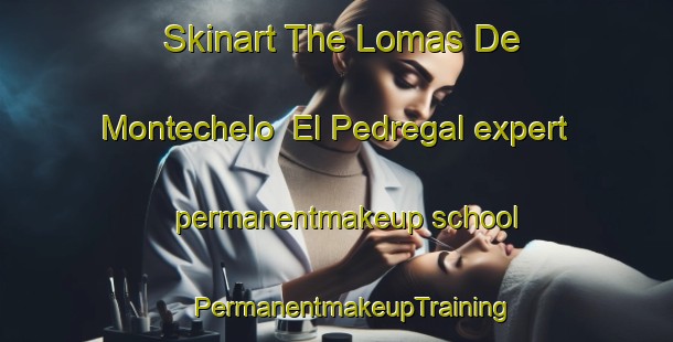 Skinart The Lomas De Montechelo  El Pedregal expert permanentmakeup school | #PermanentmakeupTraining #PermanentmakeupClasses #SkinartTraining-Mexico