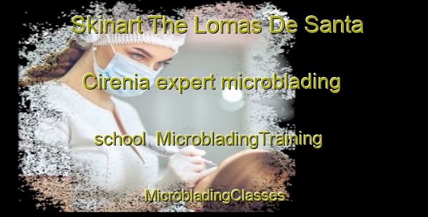 Skinart The Lomas De Santa Cirenia expert microblading school | #MicrobladingTraining #MicrobladingClasses #SkinartTraining-Mexico