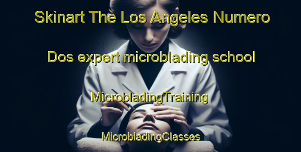 Skinart The Los Angeles Numero Dos expert microblading school | #MicrobladingTraining #MicrobladingClasses #SkinartTraining-Mexico