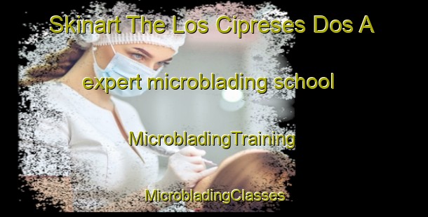 Skinart The Los Cipreses Dos A expert microblading school | #MicrobladingTraining #MicrobladingClasses #SkinartTraining-Mexico