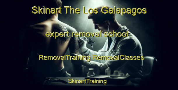 Skinart The Los Galapagos expert removal school | #RemovalTraining #RemovalClasses #SkinartTraining-Mexico