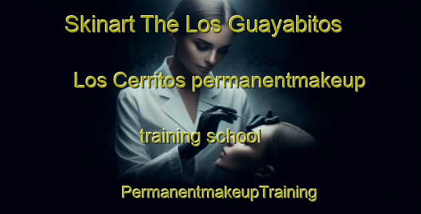 Skinart The Los Guayabitos  Los Cerritos permanentmakeup training school | #PermanentmakeupTraining #PermanentmakeupClasses #SkinartTraining-Mexico