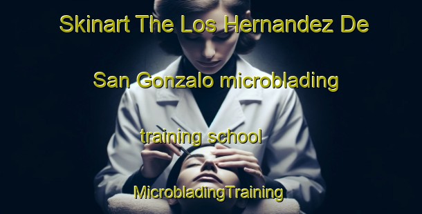 Skinart The Los Hernandez De San Gonzalo microblading training school | #MicrobladingTraining #MicrobladingClasses #SkinartTraining-Mexico