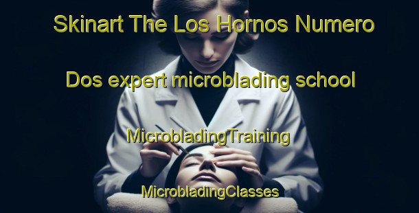 Skinart The Los Hornos Numero Dos expert microblading school | #MicrobladingTraining #MicrobladingClasses #SkinartTraining-Mexico